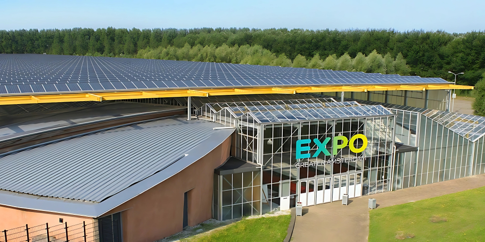 Expo