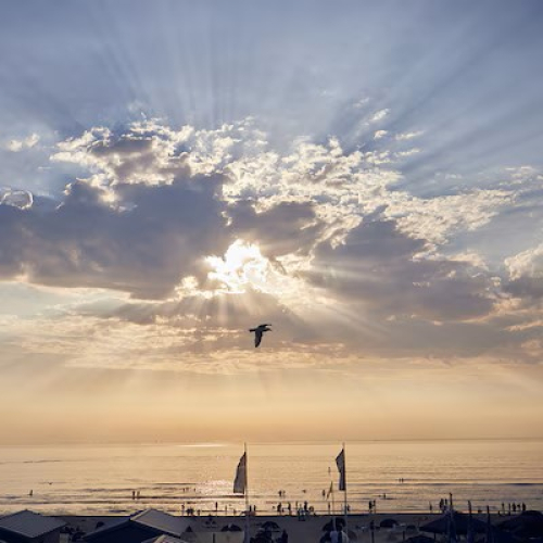 Stand Zandvoort