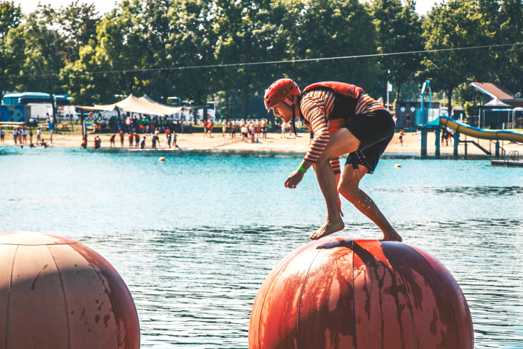 Whipeout