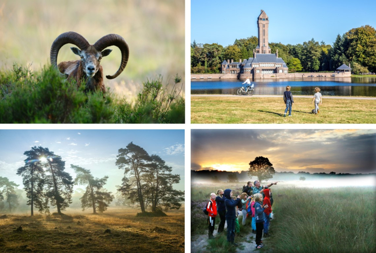 De Hoge Veluwe
