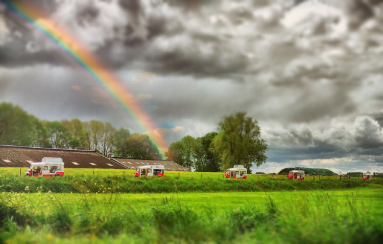 Uit in Zuid 