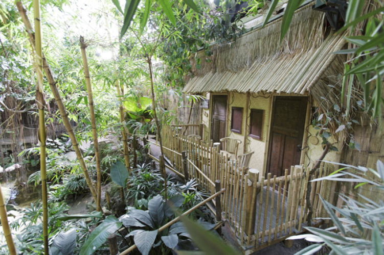 Jungle Dome