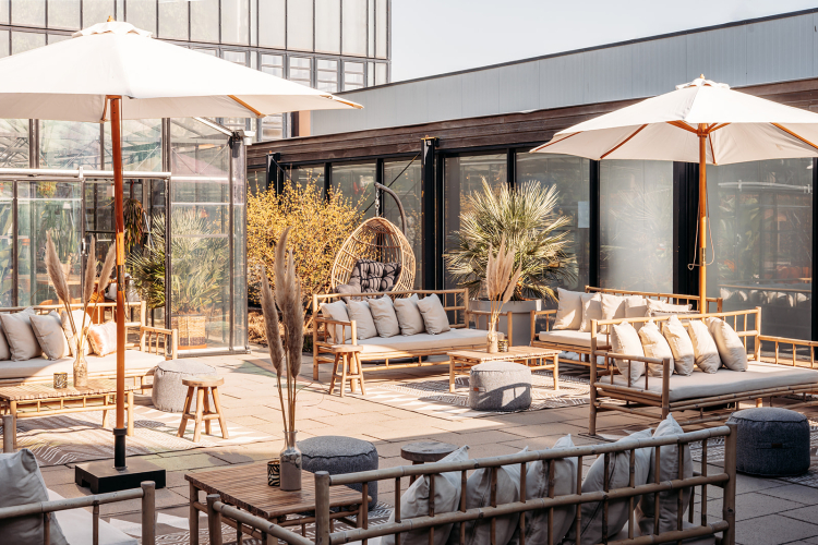 Terras