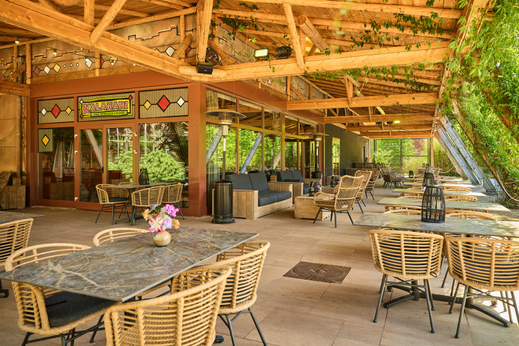 Kalahari terras