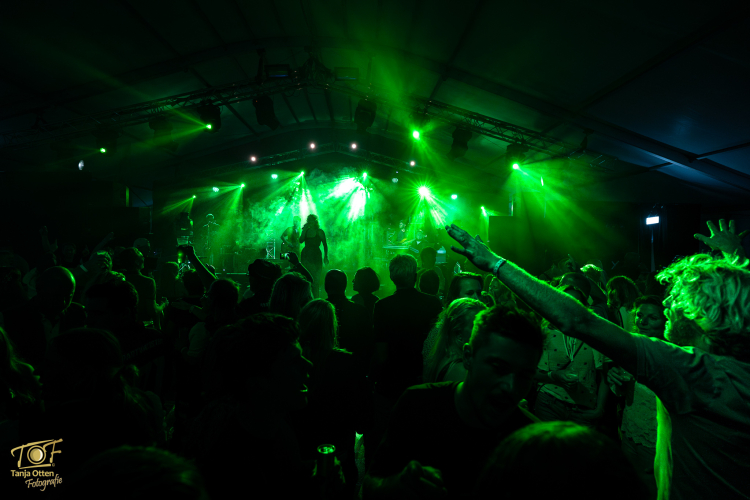 Bedrijfsfeest, coverband Amber Roots