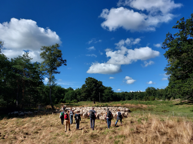 Teambuilding in de Achterhoek