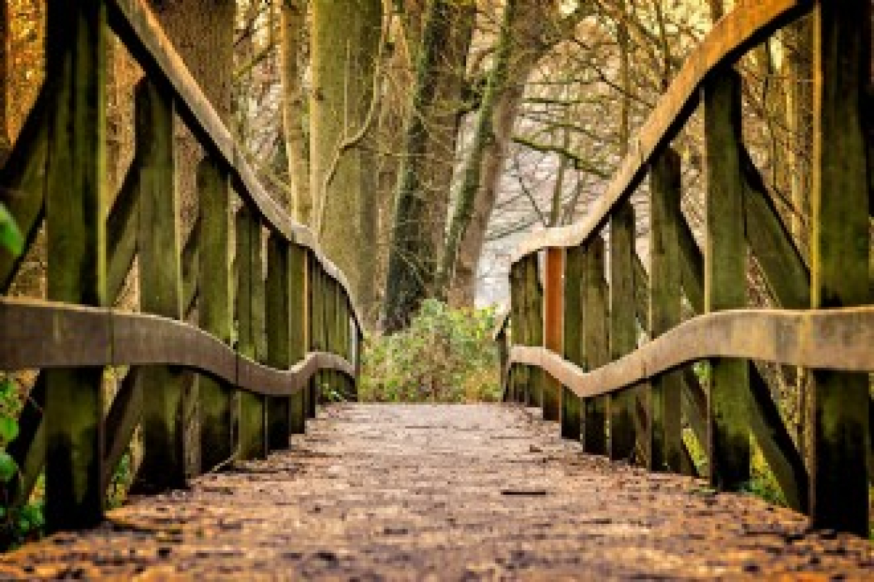 Evenement Organiseren: extra impact, zonder extra budget (IV)
