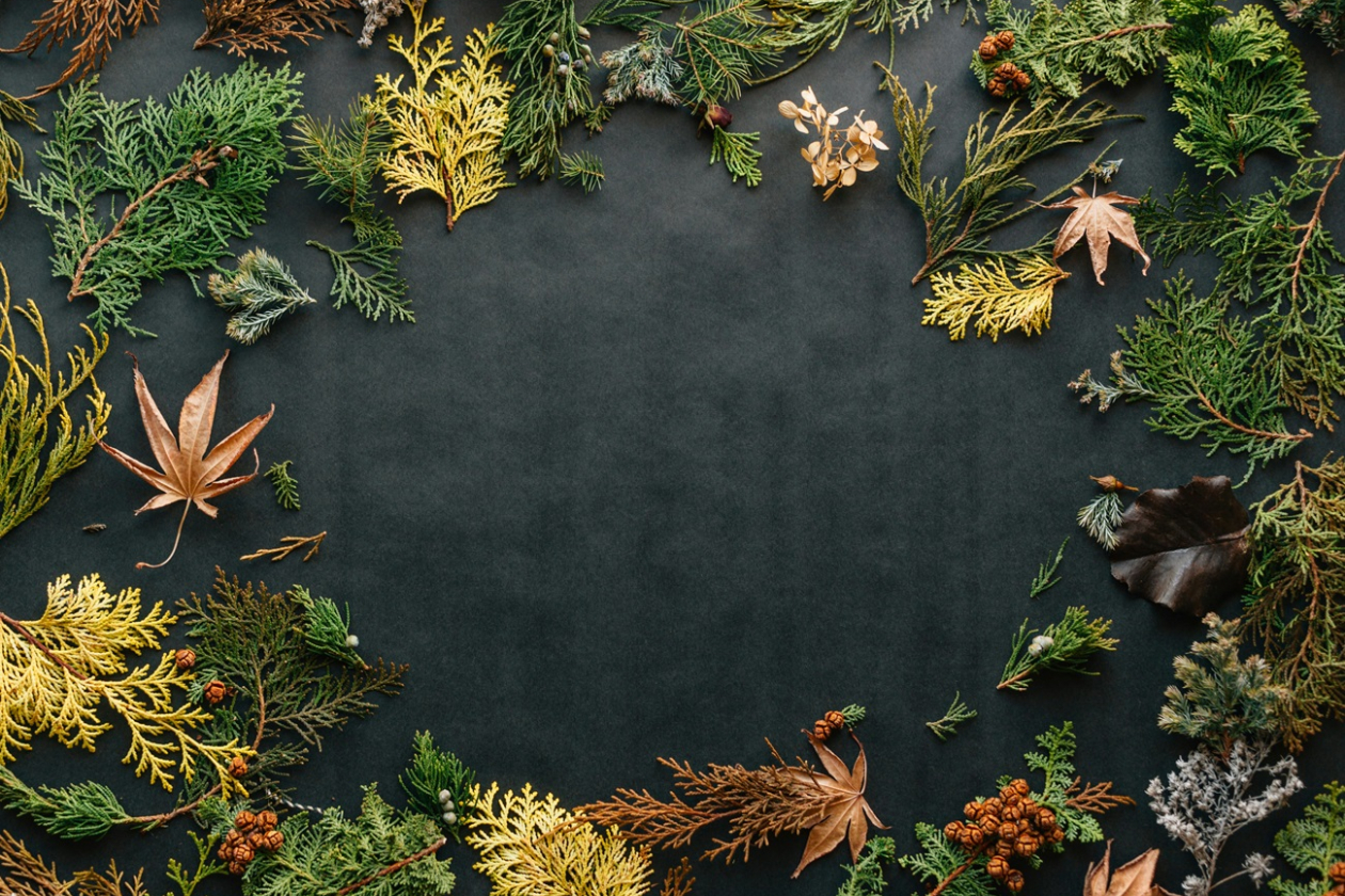 eco_deco_(1).jpg " src=