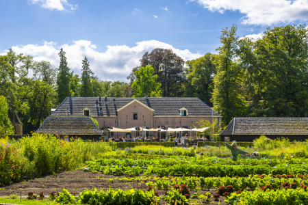 Locatie in het groen