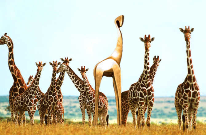 20180126-gouden_giraffe_met_echte_giraffes.png