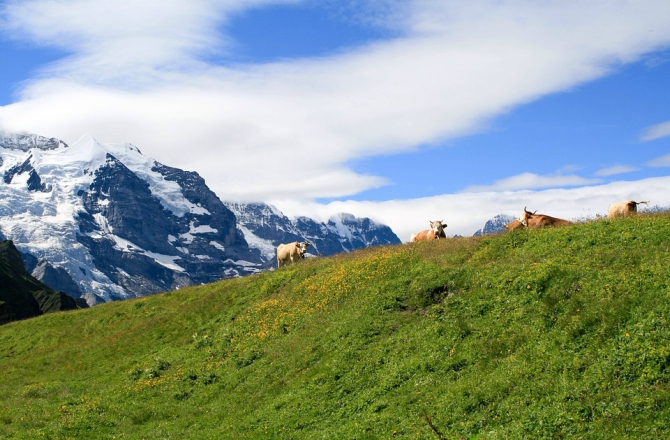 20190128-zwitserland_2.jpg
