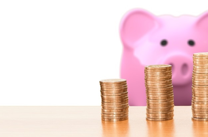 20190213-budget_varkentje.jpg