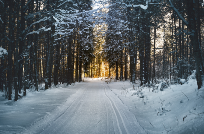 20191223-winter.png