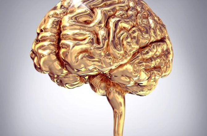 20200924-neuromarketing_hersenen.jpg