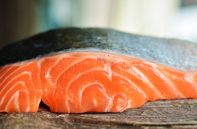 20230514-zalm_omega_3.jpg