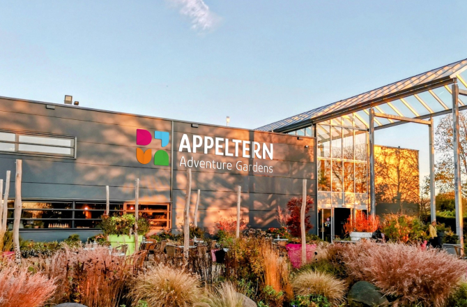20230907-appeltern_voorkant.jpg