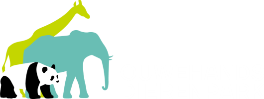 /public/image/logos/odr__logo_liggend_dia_rgb.png