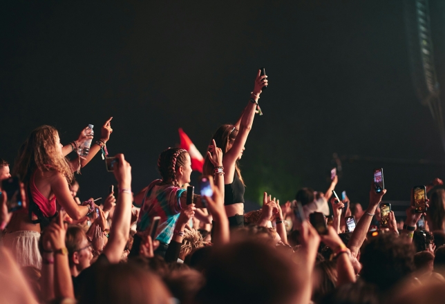 Publiek op festival