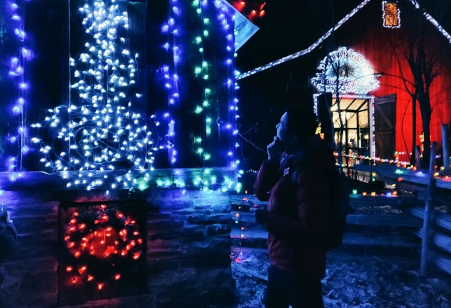 Het Amsterdamse Winterparadijs